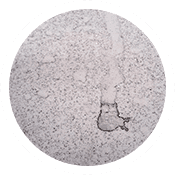 Simoniz Glasscoat