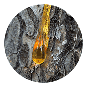 Simoniz Glasscoat