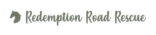 redemption road logo