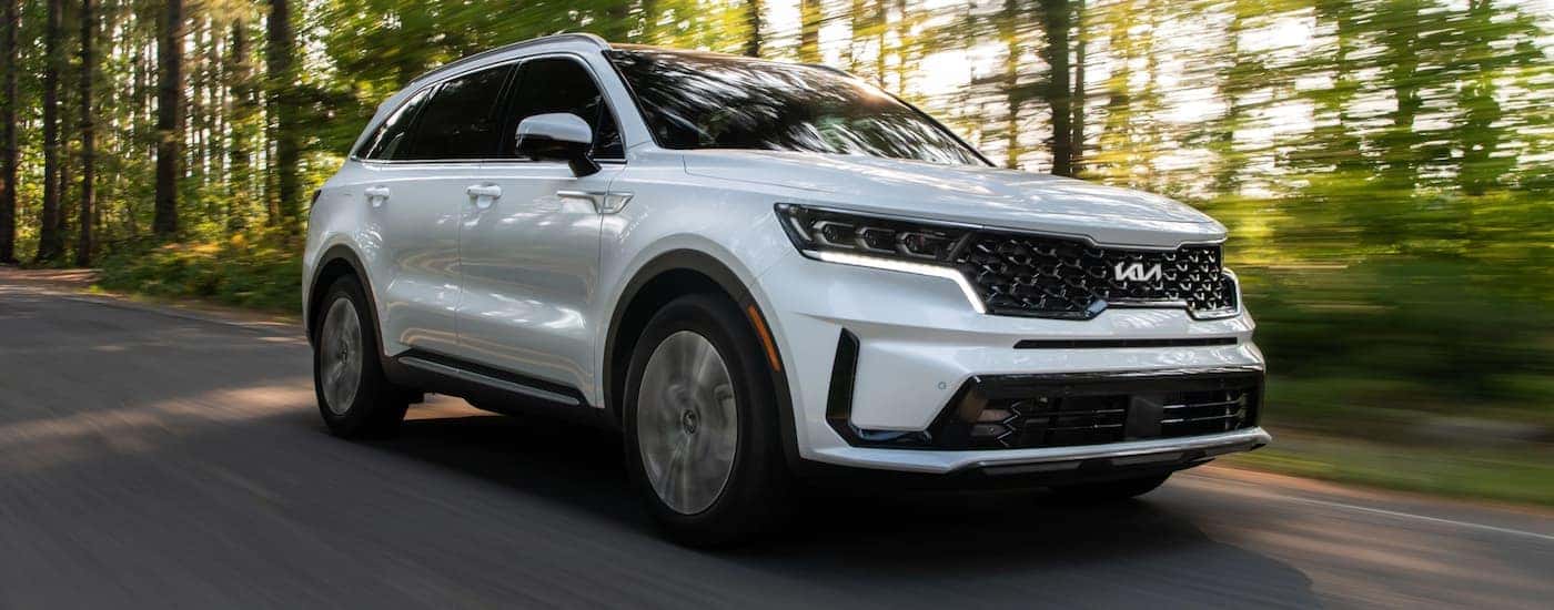 Harleysville Residents, You Need to Check Out the Kia Sorento