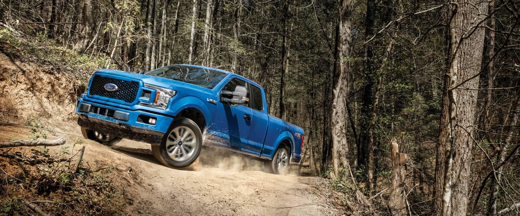 2020 blue ford f-150 in forest