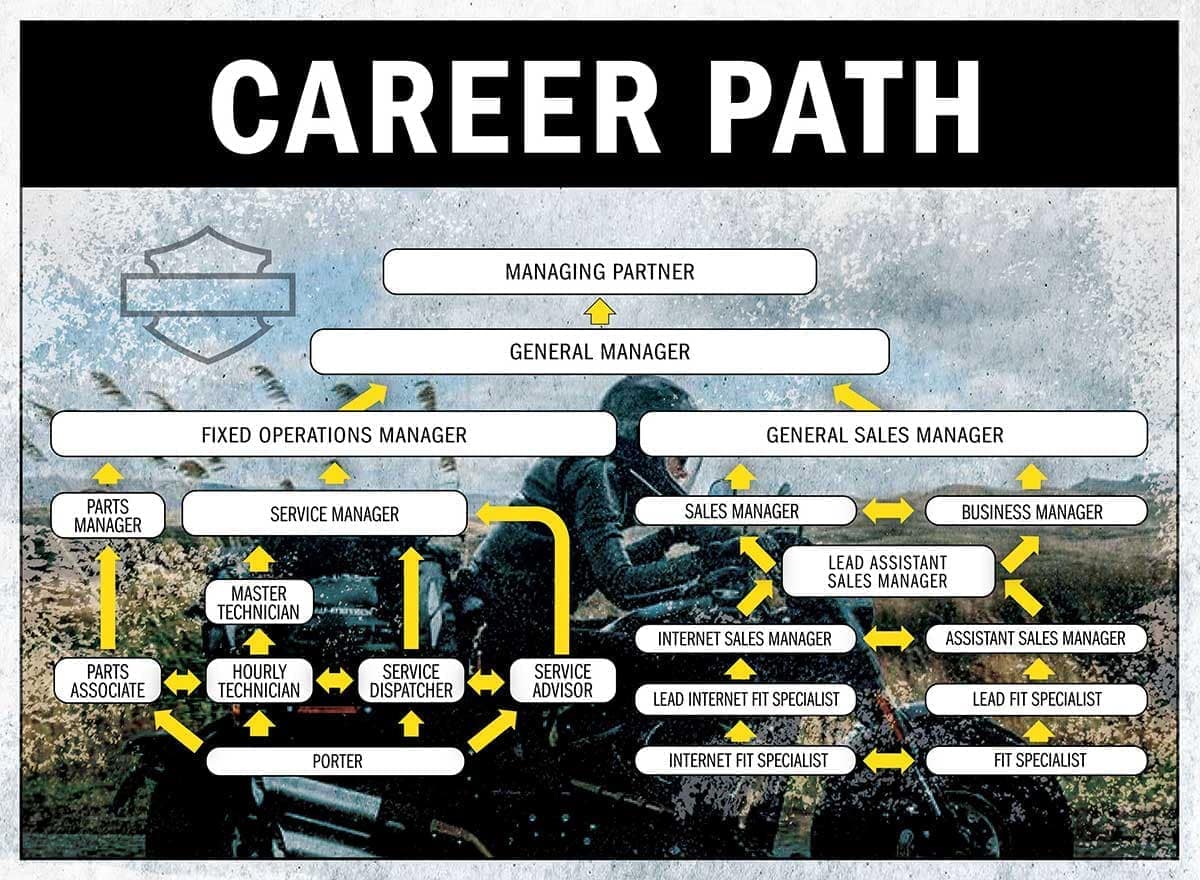 Career Path Graphic