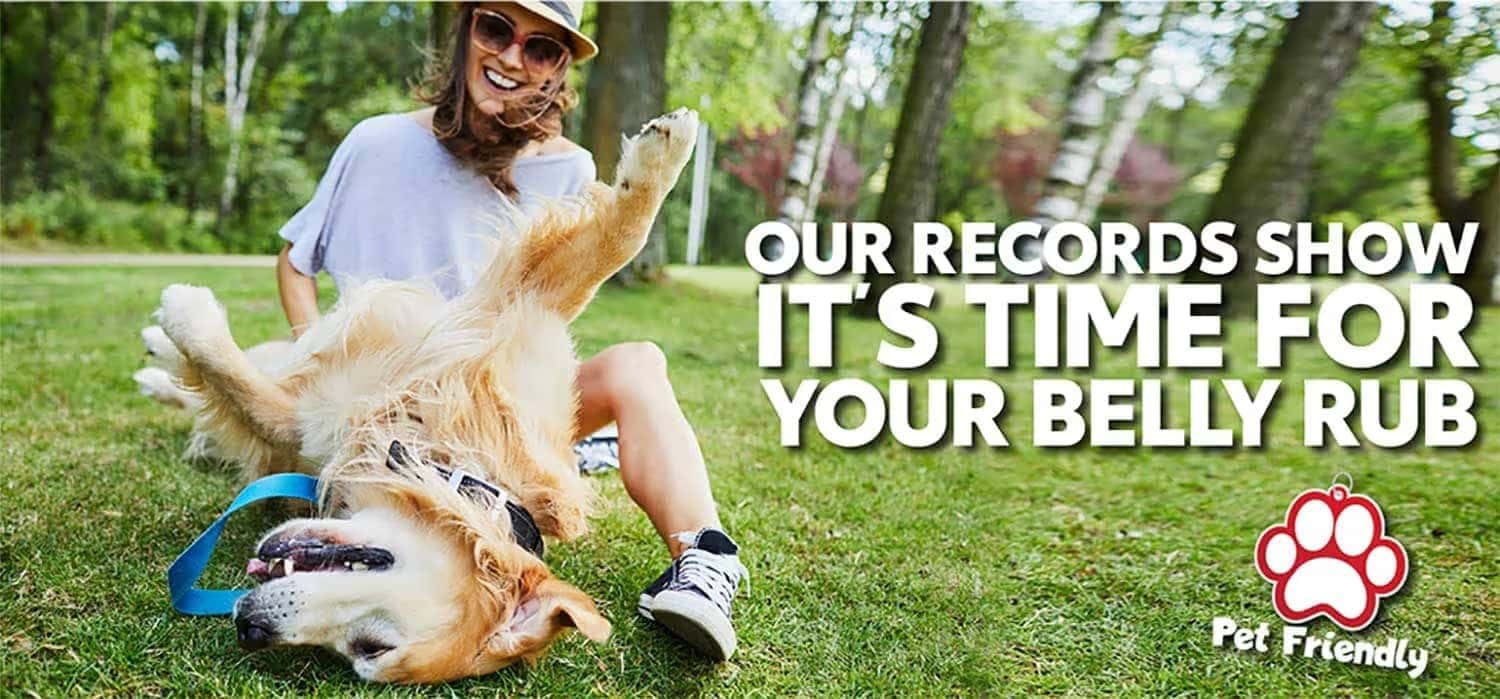 Woman in park with dog