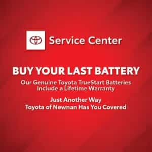 Buy Your Last Battery