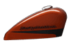 https://di-uploads-development.dealerinspire.com/avalancheharleydavidson/uploads/2018/08/19-hd-forty-eight-bikepaint-c165-1.png