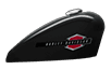 https://di-uploads-development.dealerinspire.com/avalancheharleydavidson/uploads/2018/08/19-hd-forty-eight-bikepaint-c25-1.png
