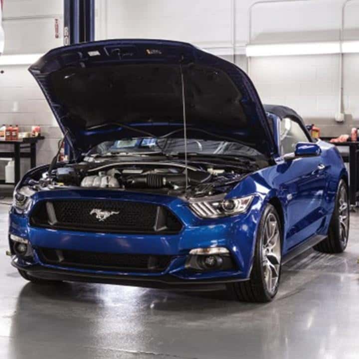 Mustang in the shop