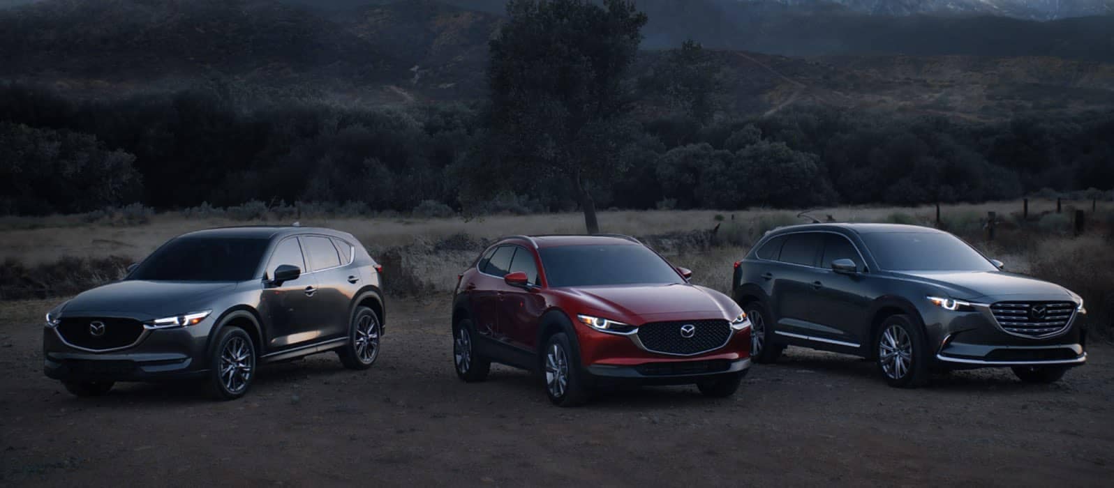 2021 Mazda lineup with forest