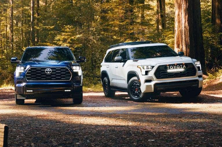 Two Sequoia parked in forest