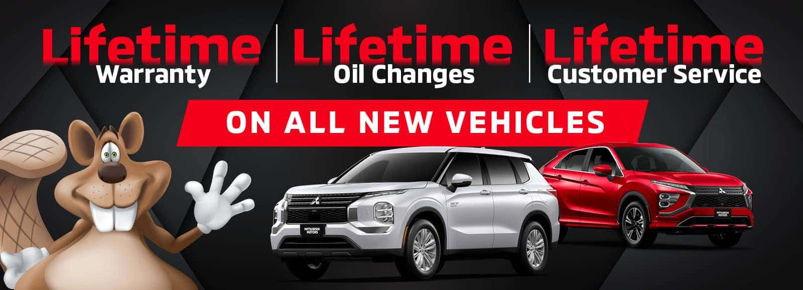 Lifetime Warranty