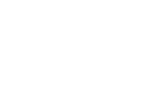 Dealer Logo - Light