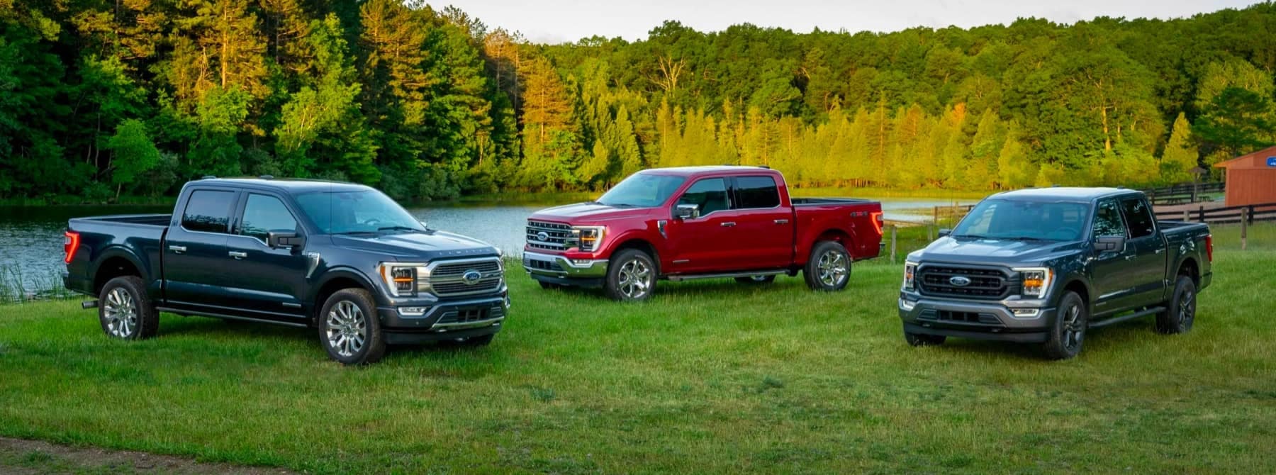 Three Ford trucks parked in a field in front of a lake