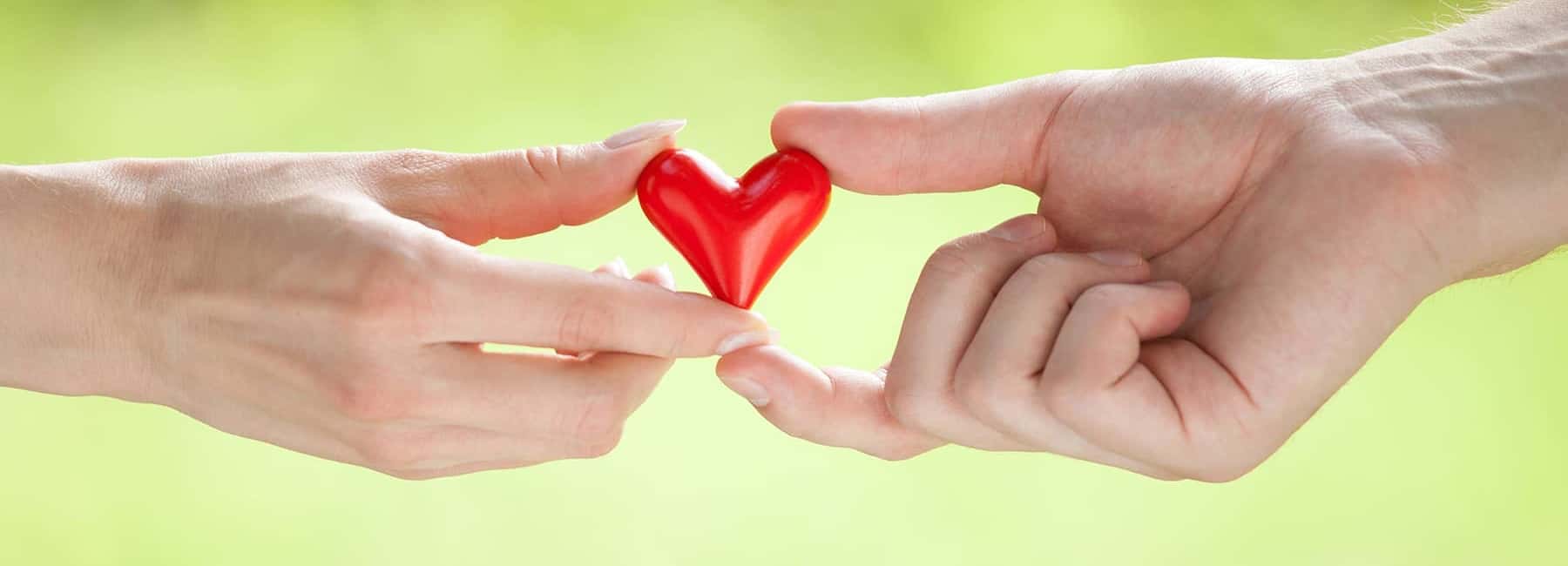 GiveBack heart