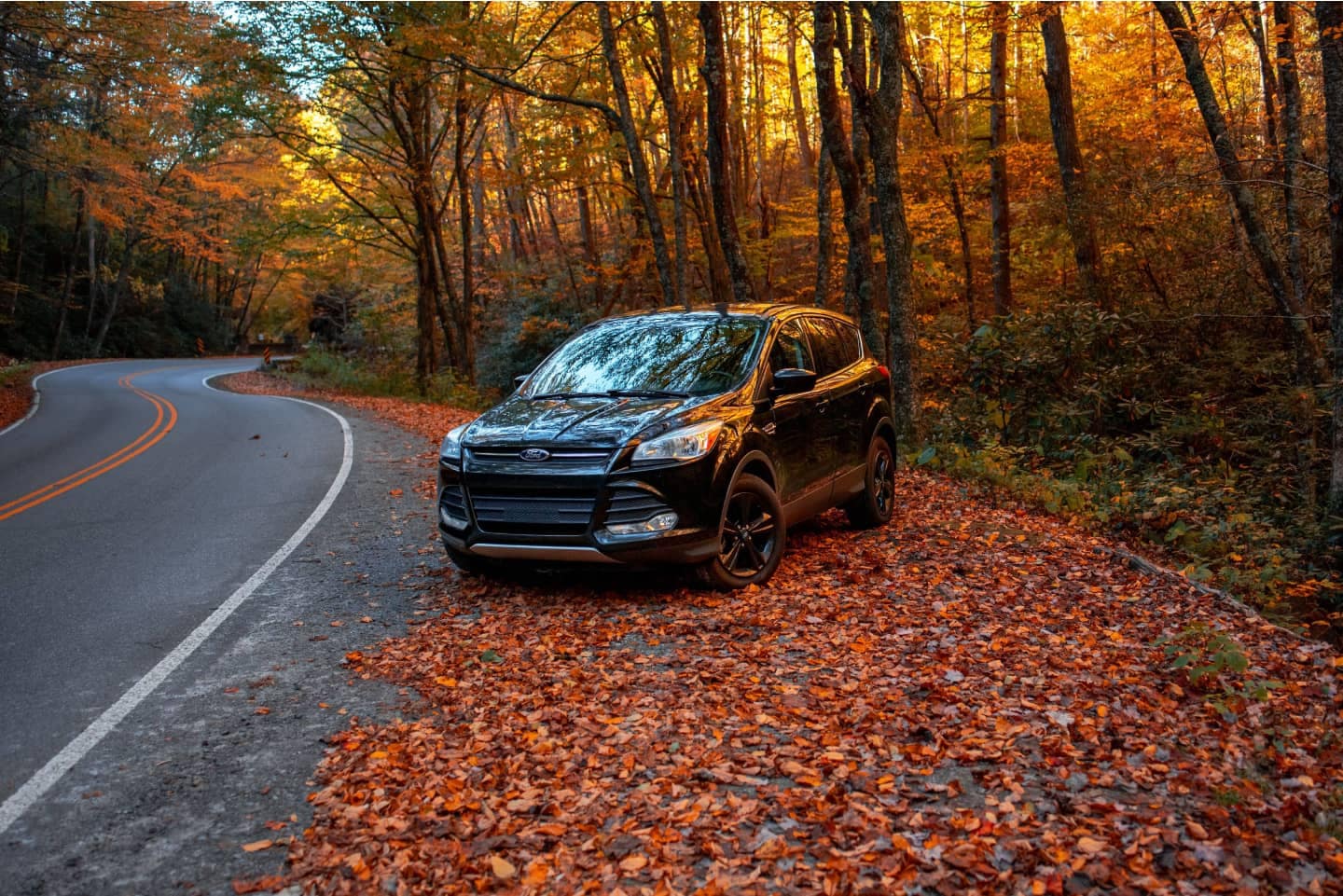 Used Black Ford Escape parked on the side of a windy road in a field of fall leaves.