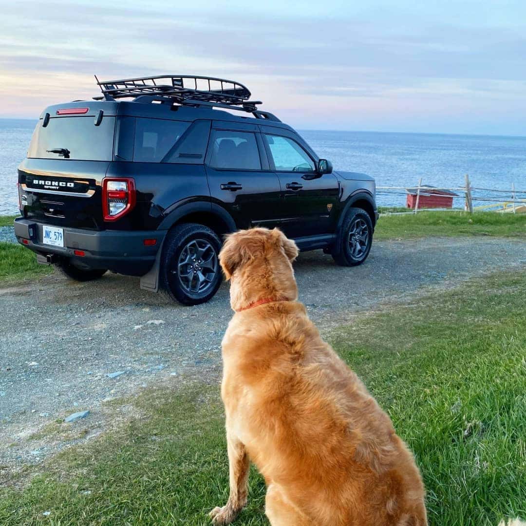 2021 Ford Bronco Sport Badlands in Shadow Black