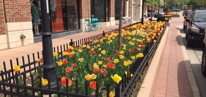 Ten Things To Do In Naperville This Summer