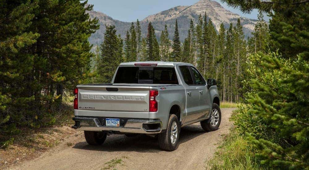 A silver 2020 Chevy Silverado 1500 LT is facing away on a woodland trail overlooking mountains.