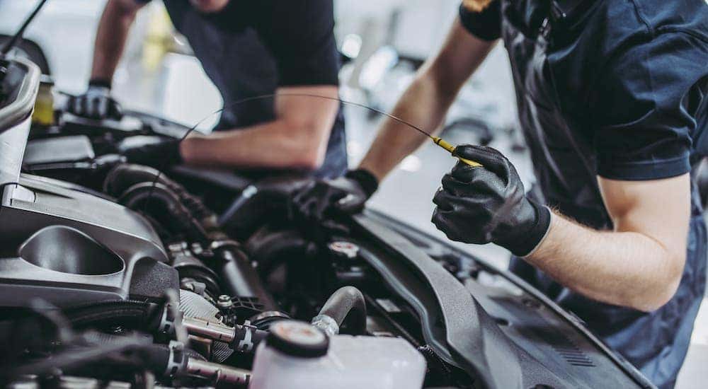 Two mechanics are checking the oil in a car as part of an oil change near you in Indianapolis.
