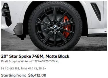 BMW X5 Tires 20 Star Spoke 748M