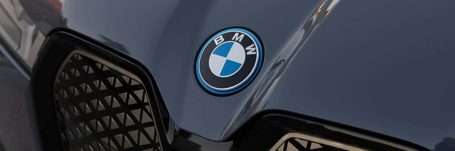 Close up of a 2023 BMW iX grille