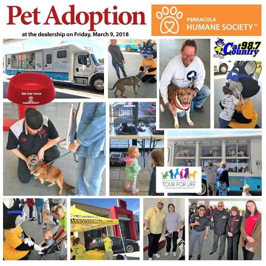 Collage of images from various community outreach events