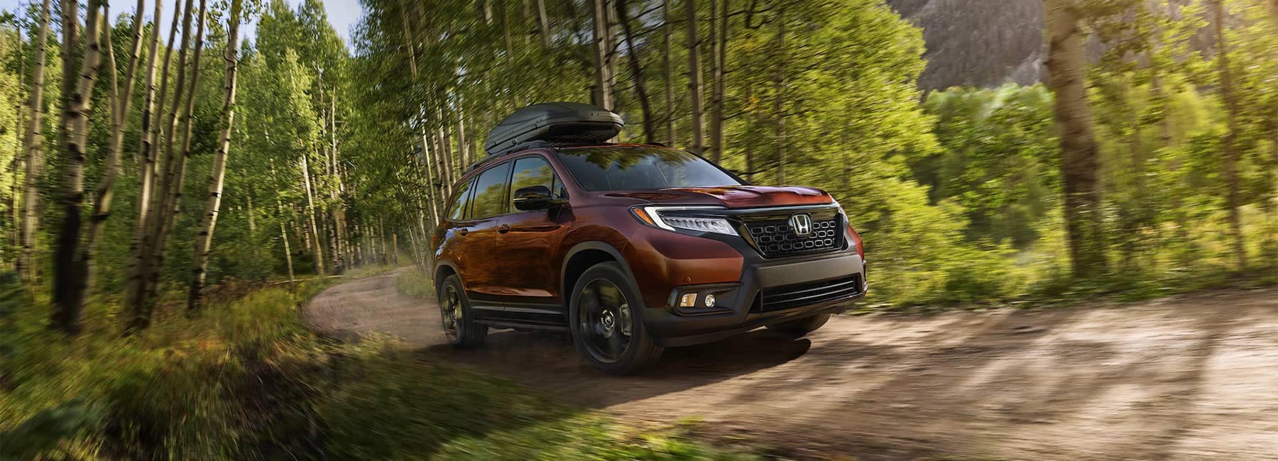 2020 Red Honda Passport Driving in Forest