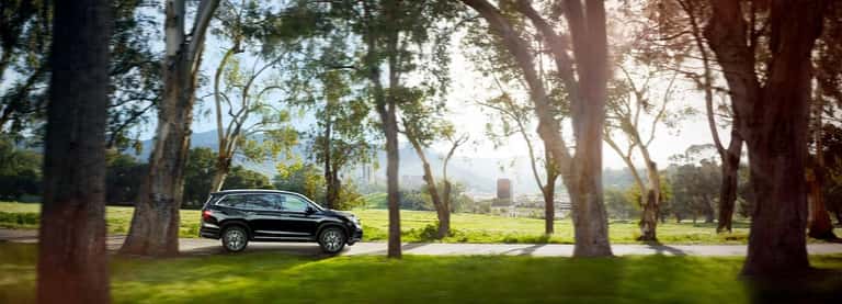2021 Honda Pilot Elite parked in a park