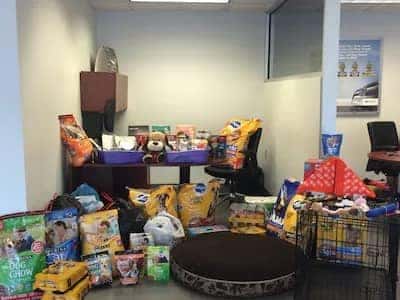 Bowser Subaru pet food and pet goods in the office
