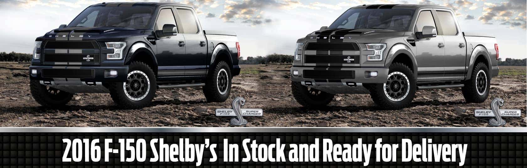 Shelby Trucks