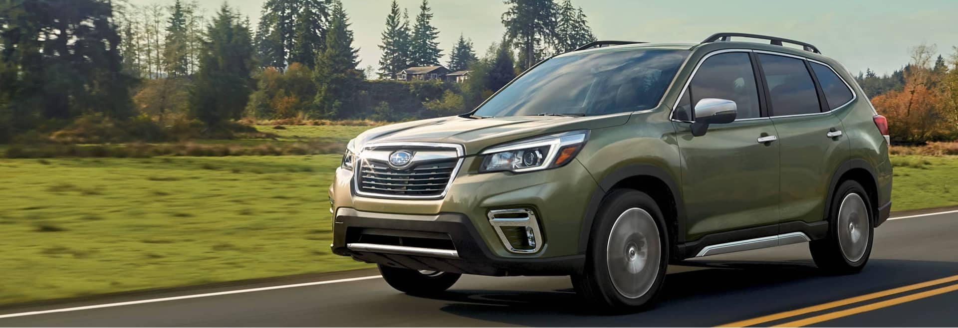 Forester Exterior Features