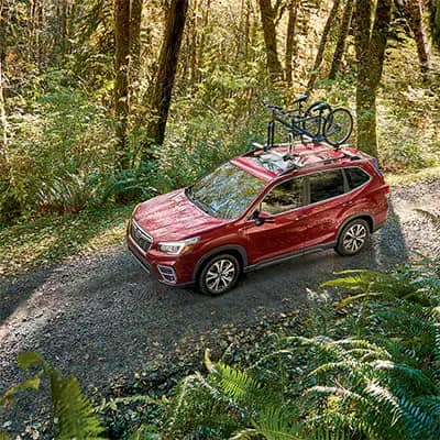 Forester Panoramic Moonroof