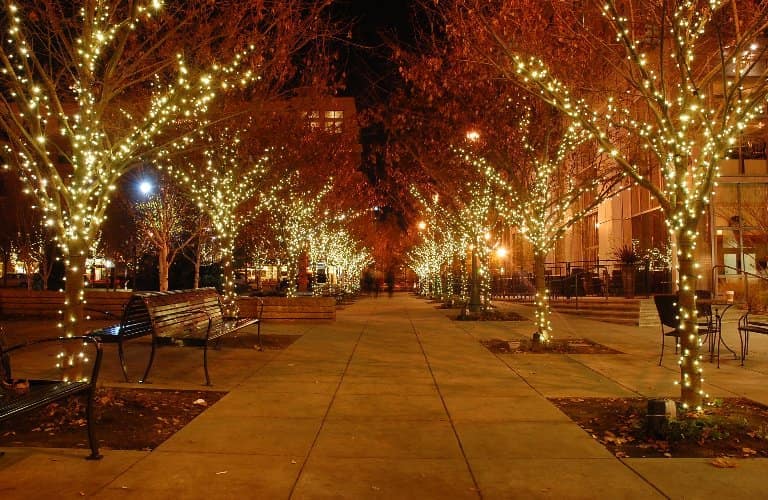 Sidewalk and trees with lights on them