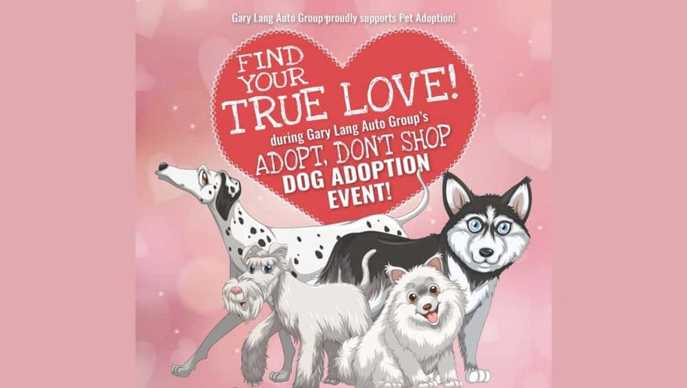 find-your-true-love