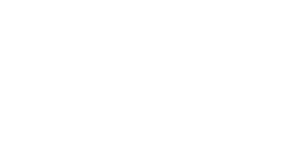 Camper Van