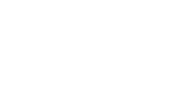 Crew Van