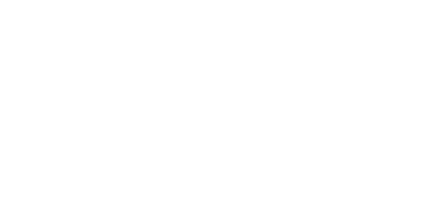 Cargo Van