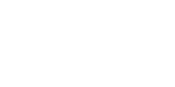 Luxury Van