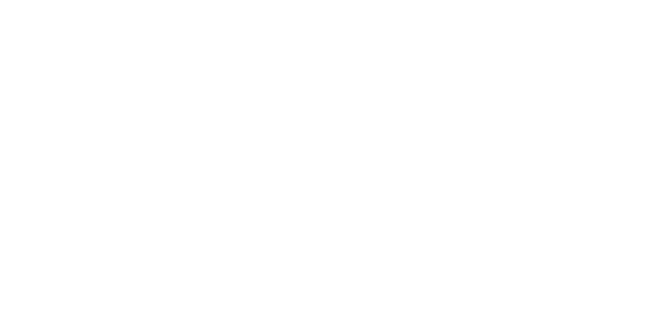 Passenger Van