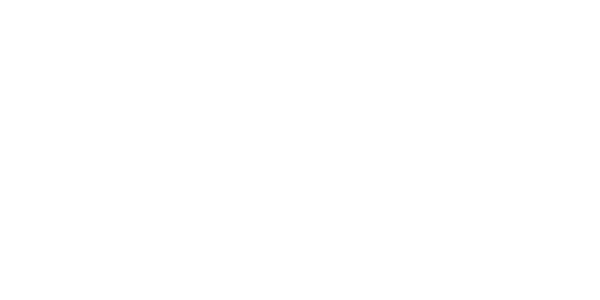 Platform Body