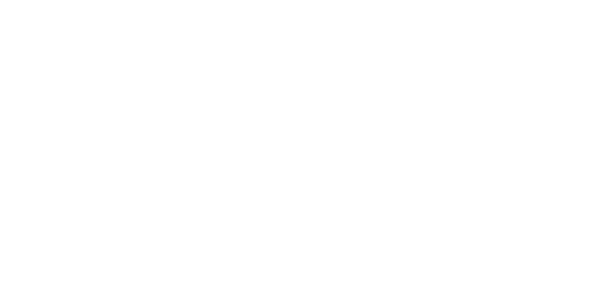 Wheelchair Lift