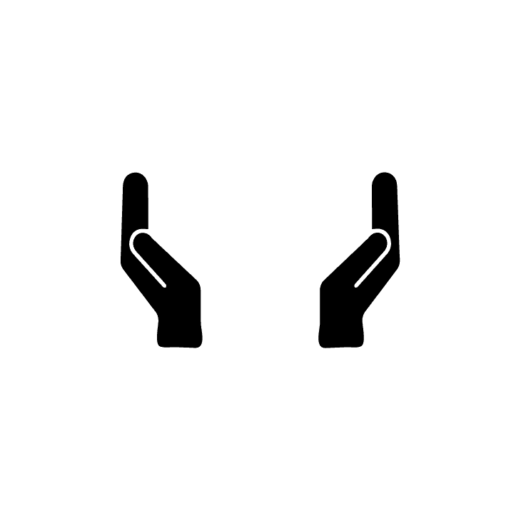 Two Hands Icon