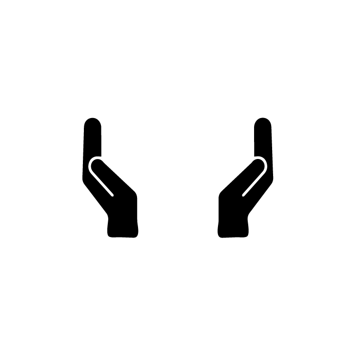 Two Hands Icon