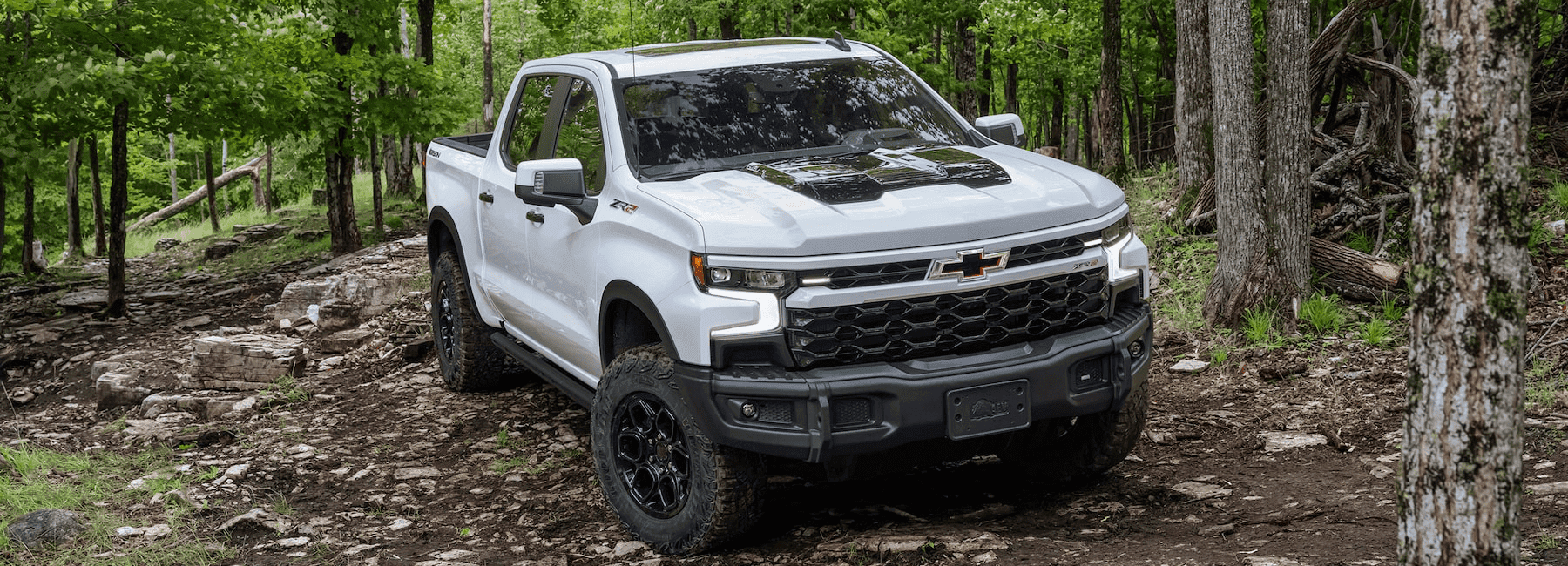 2023 Silverado Bison drives through forest
