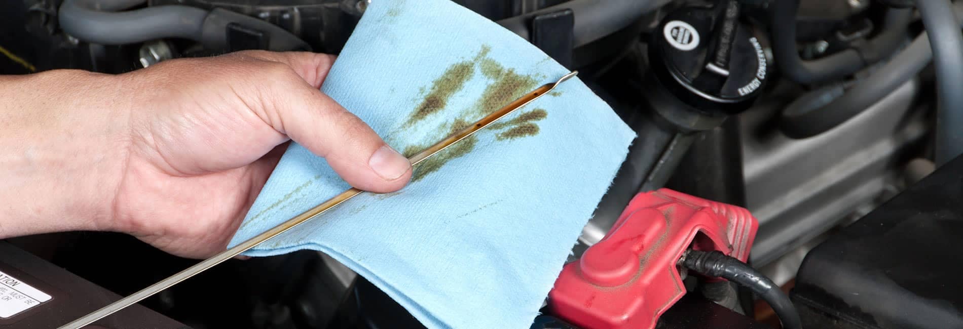 Oil picture of dipstick getting wiped onto blue papertowel