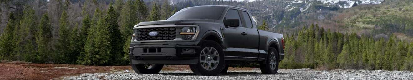 Agate Black Metallic Ford F-150