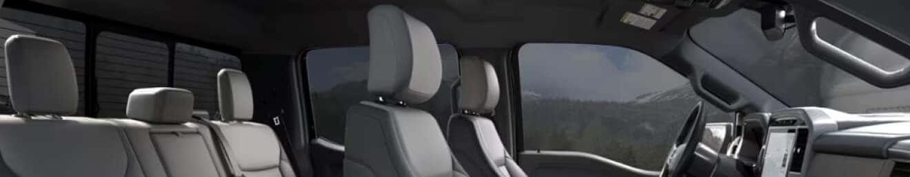 Black/Smoked Truffle Ford F-150