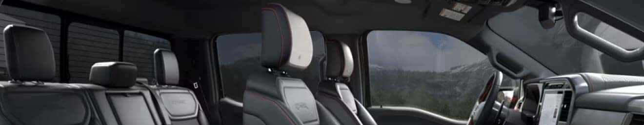Black Ford F-150