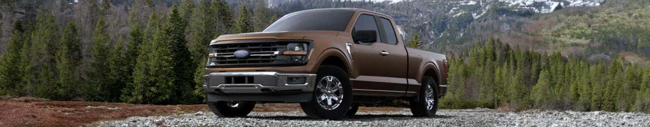Darkened Bronze Metallic Ford F-150