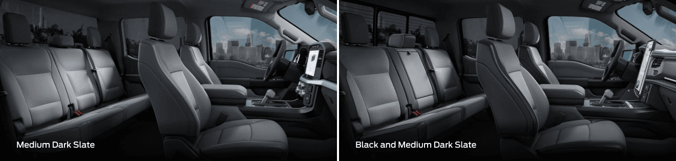 Medium Dark Slate &  Black and Medium Dark Slate Ford F-150 Lightning