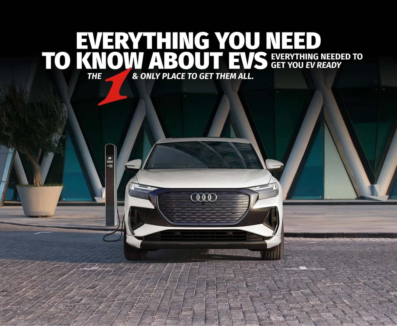 Everything You Need to Know about EVs